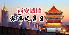 艹萝逼视频中国陕西-西安城墙旅游风景区