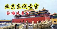 美女大操屌中国北京-东城古宫旅游风景区